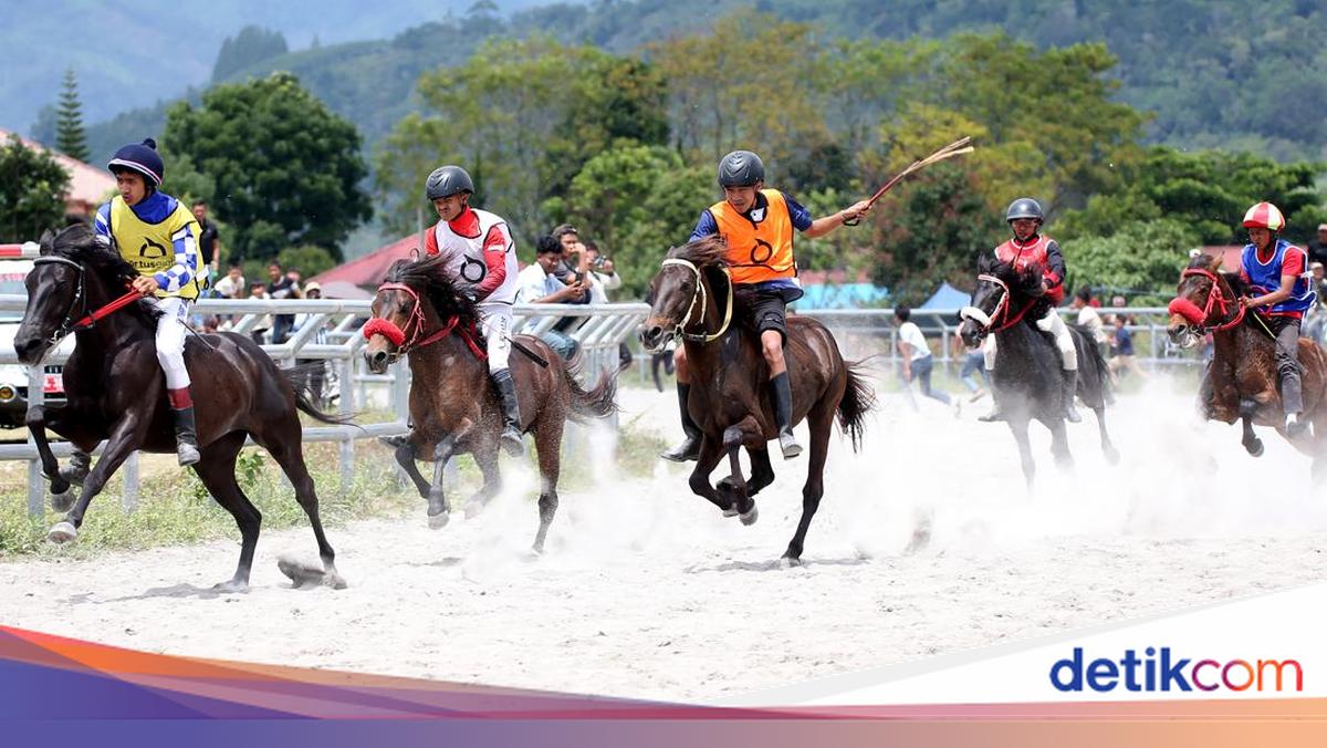 Kejuaraan Pacuan Kuda Tradisional Gayo: Semangat Kebangkitan Pasca Bencana