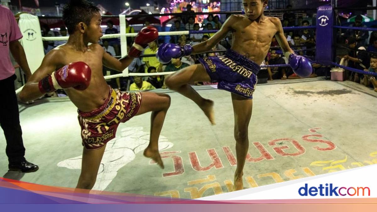 PBMI Gelar Sertifikasi Wasit, Juri, dan Pelatih Menjelang IMC 2026